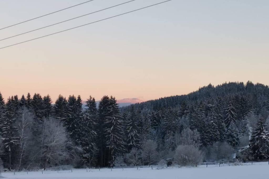 Apartment Ramona - Idyllisch Und Kirchdorf im Wald